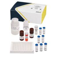 柱孢藻毒素ELISA检测试剂盒