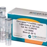 CircLigase II ssDNA Ligase
