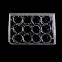 BS-C6113  麦格 12孔细胞培养板,平底，TC处理，灭菌