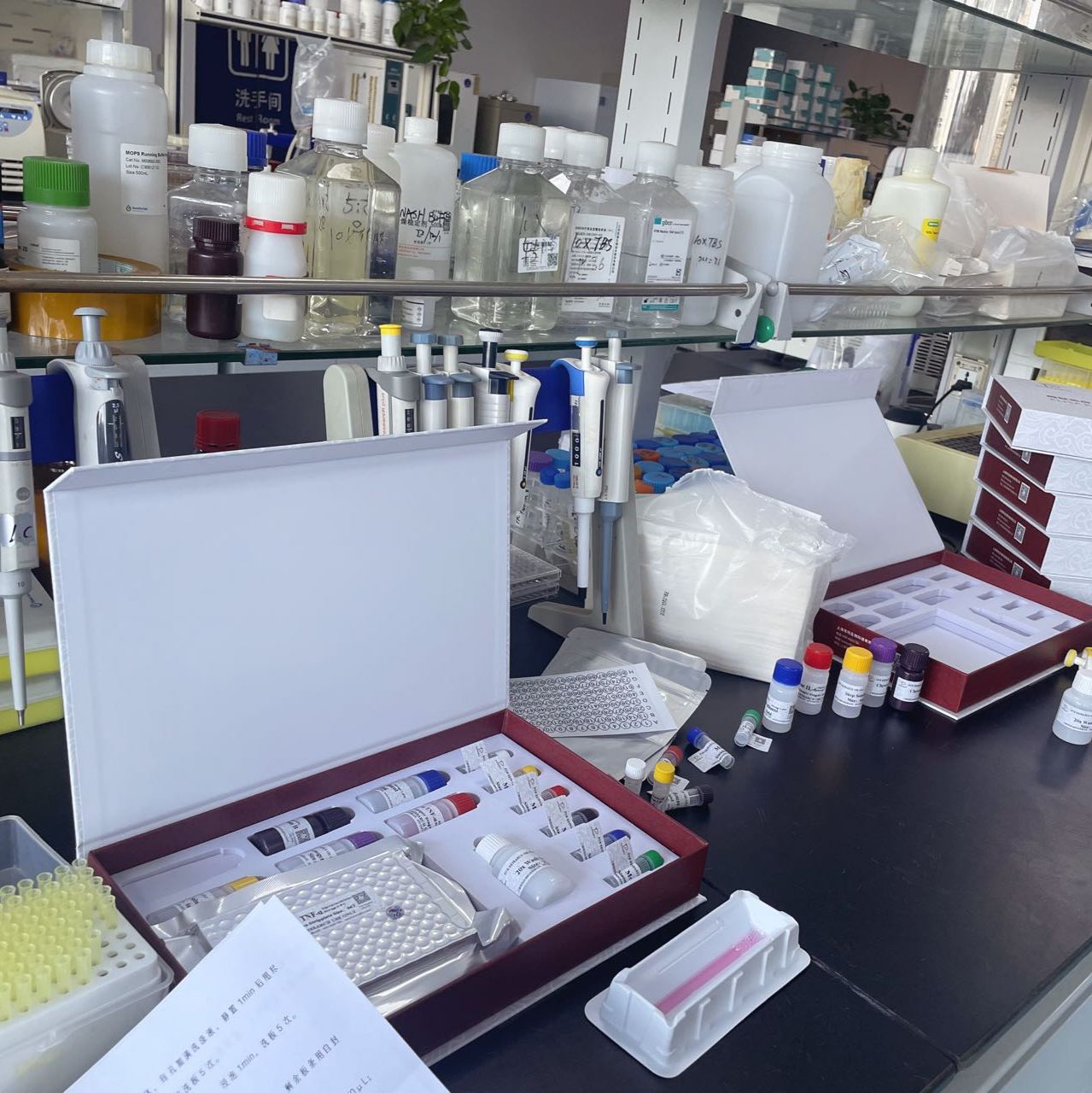 人过氧化物酶体增殖因子活化受体γ( PPAR-γ)ELISA试剂盒