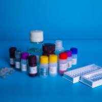 猪钙敏感受体(CASR)ELISA测试盒