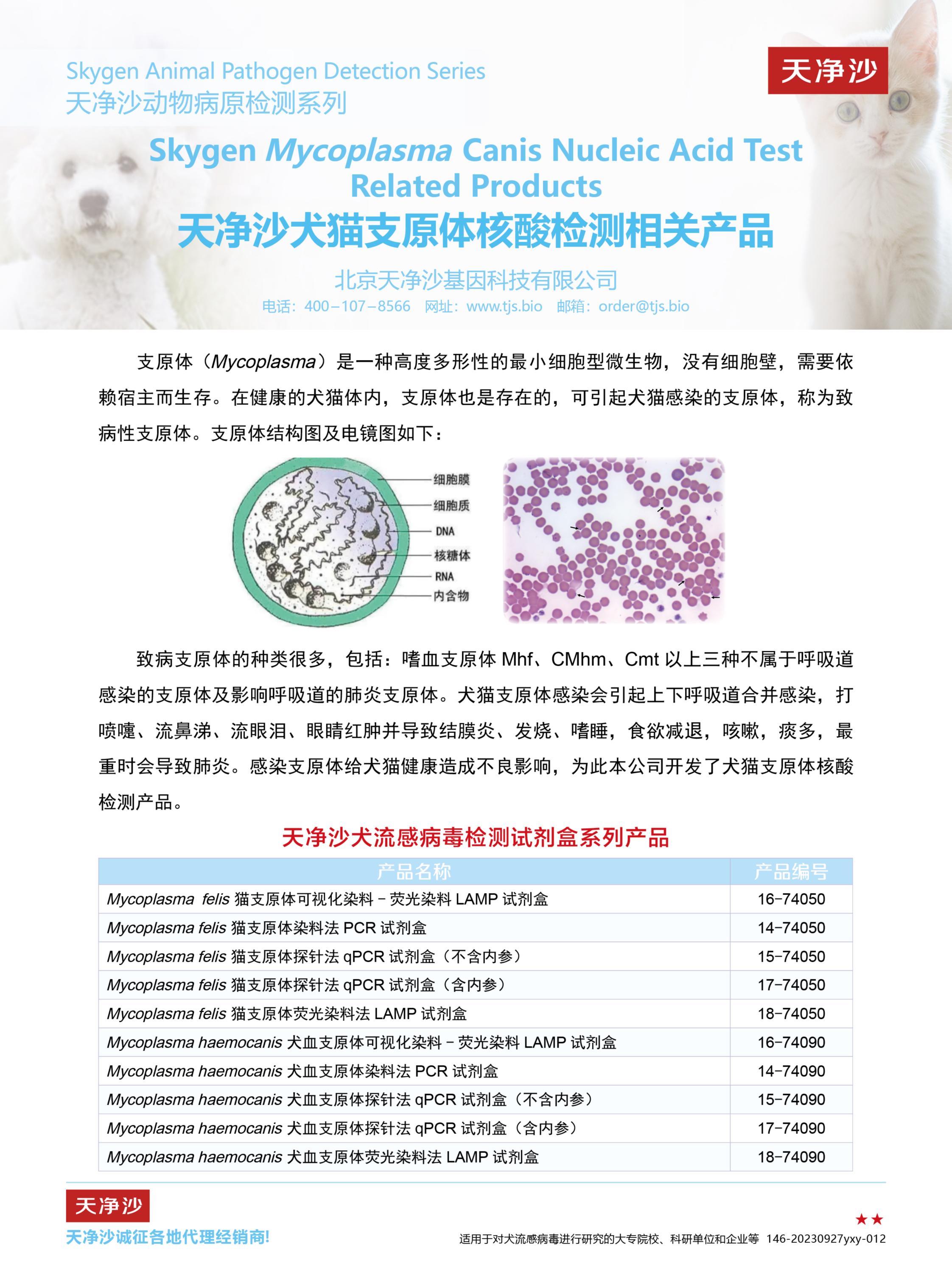 天净沙动物病原检测系列——犬猫支原体检测系列