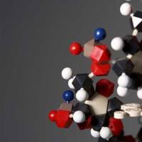 Cyanine5 抗人 CD80 荧光标记PE 抗体