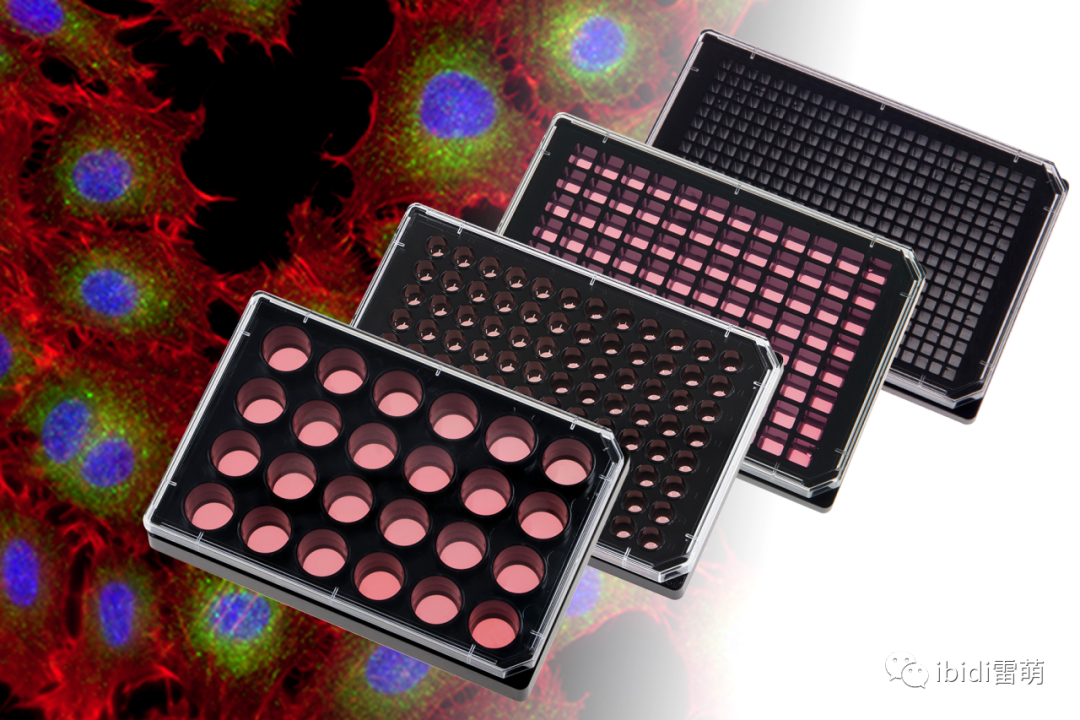 ibidi新品发布|高通量成像产品速递-µ-Plate 圆形孔、平底、透明96孔培养板