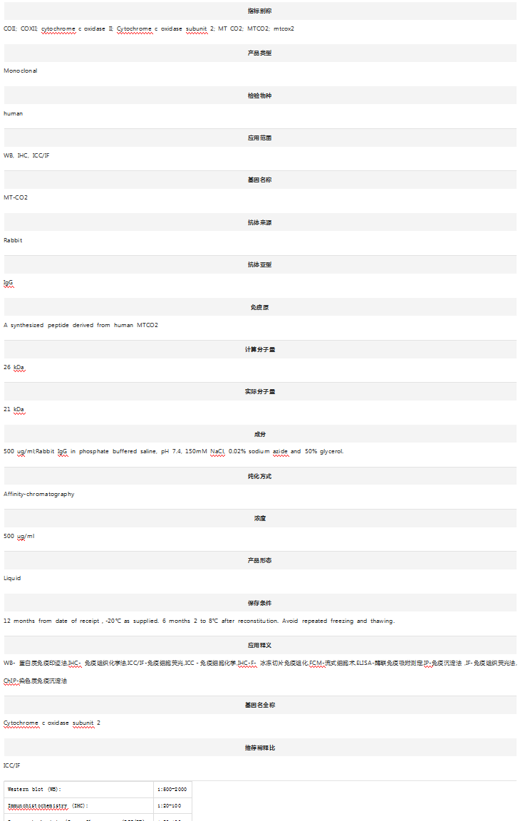 Anti-MT-CO2 Antibody