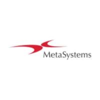 Metasystems