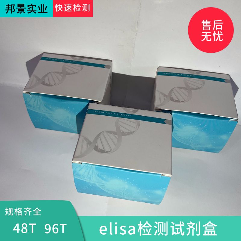 大鼠胰多肽 ELISA试剂盒