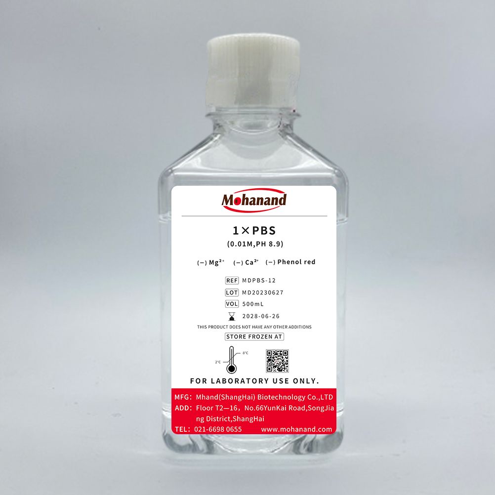 1×PBS(0.01M,pH 8.9)