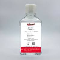 1×PBS(0.01M,pH 8.9)