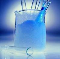 生物素抗人 CD275 (B7-H2, ICOSL) 抗体