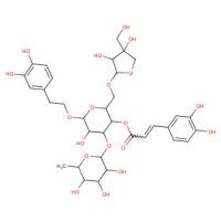 连翘酯苷B&Forsythoside B&CAS：81525-13-5