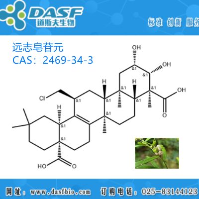 远志提取物 远志皂苷元 1%-99% CAS:22338-71-2 生产厂家