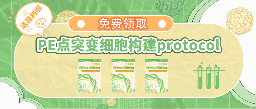 【直播预告】免费领取PE先导编辑点突变细胞构建入门指南！