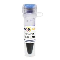 PAGE上层胶蓝色染料(500X)