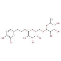 连翘酯苷E&Forsythoside E&CAS:93675-88-8