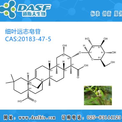 远志提取物 细叶远志皂苷 1%-99% CAS:20183-47-5
