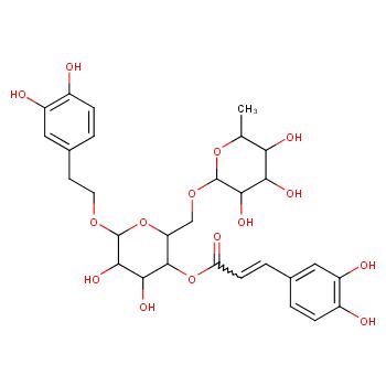 连翘酯苷A&Forsythoside A&CAS：79916-77-1