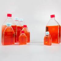 安进特 细胞培养瓶