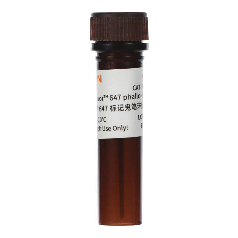iFluor™ 647标记鬼笔环肽(远红) 647 phalloidin