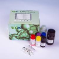 猪过氧化物酶体生物合成因子1(PEX1)ELISA测试盒