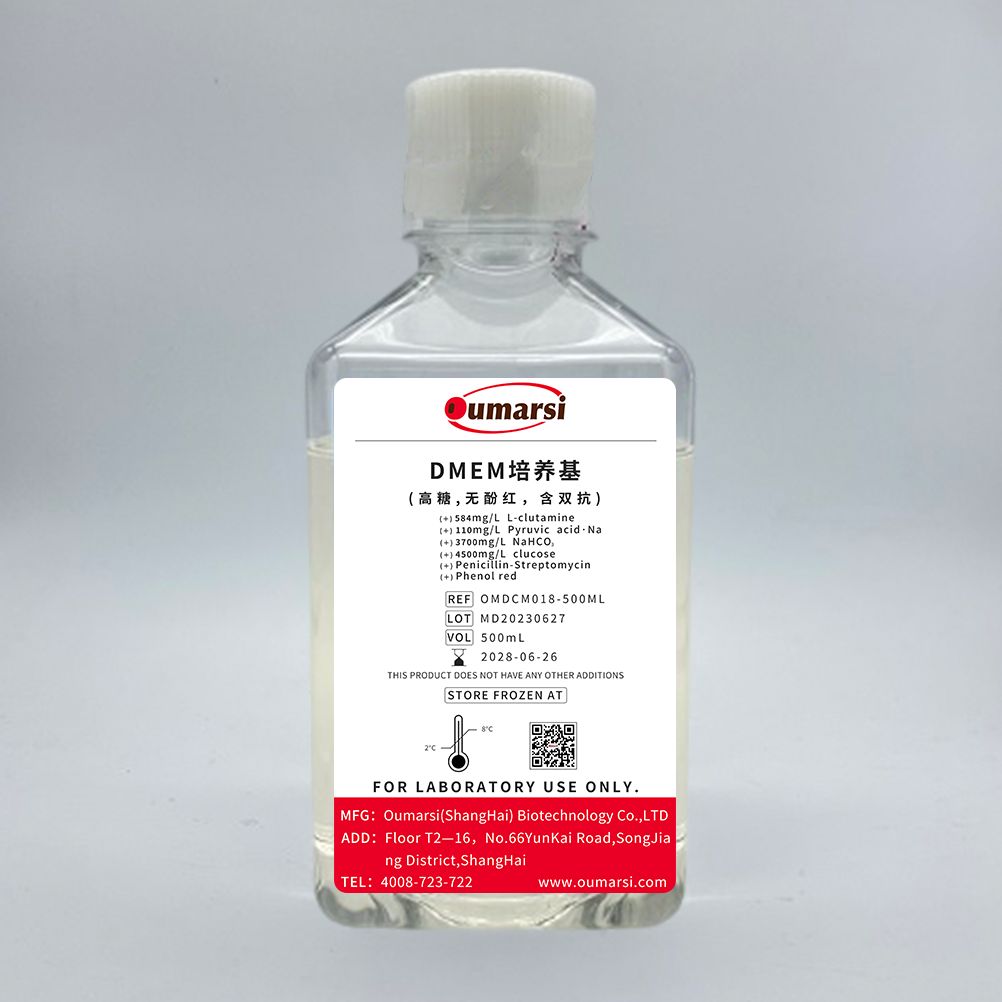 DMEM培养基(高糖,无酚红,含双抗)