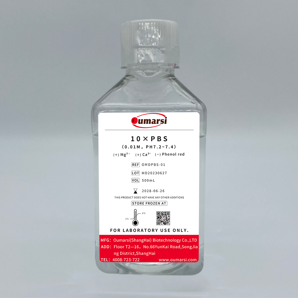 10×PBS(0.1M,pH 7.2-7.4)
