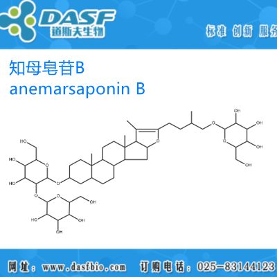 知母提取物 知母皂苷B 1%-99% anemarsaponin B