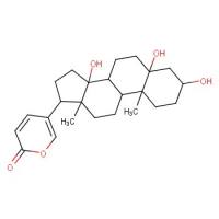 远华蟾蜍精&Telocinobufagin&CAS：472-26-4