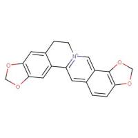 硫酸黄连碱&Coptisine sulfate&CAS:1198398-71-8