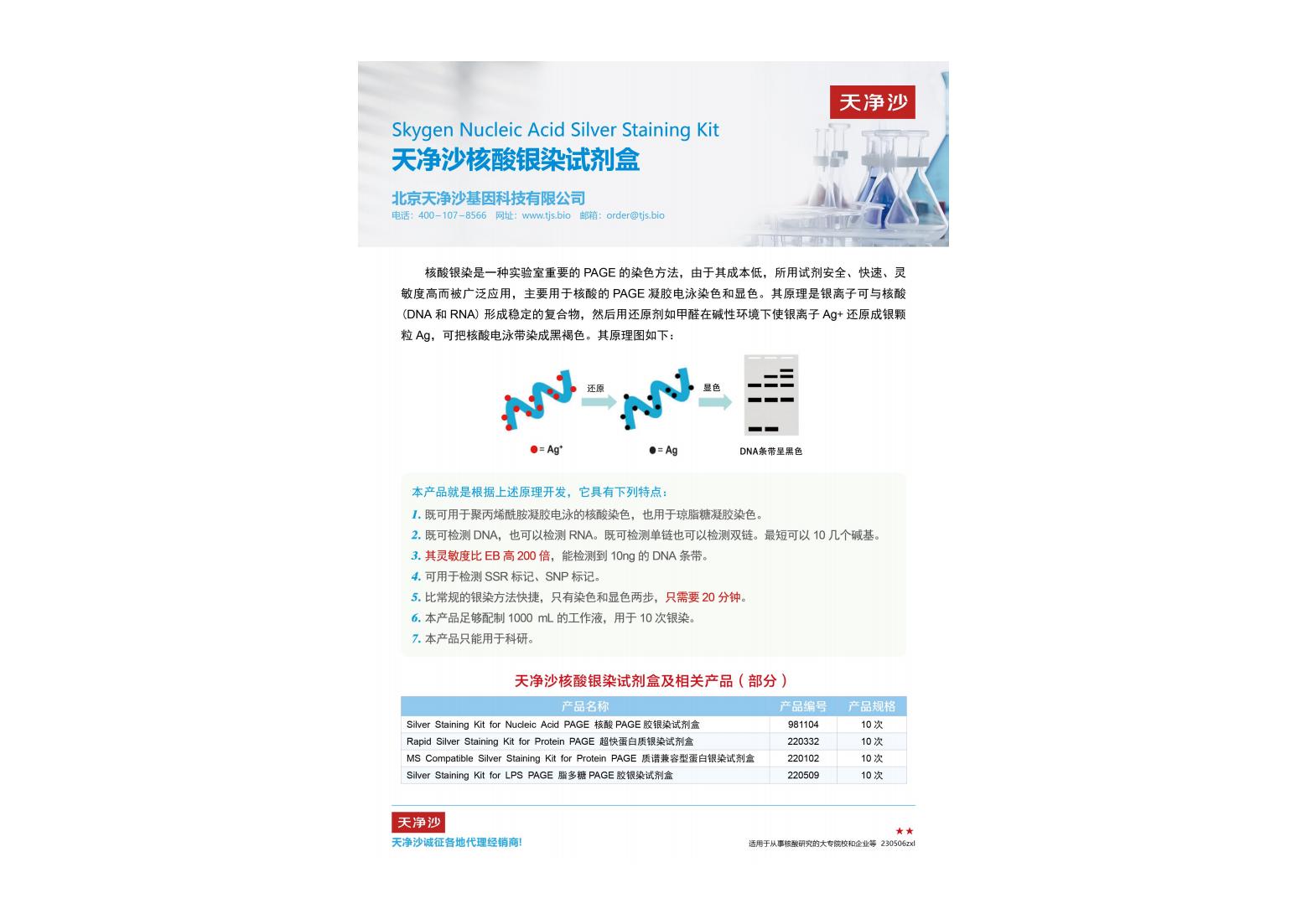 核酸PAGE胶银染试剂盒