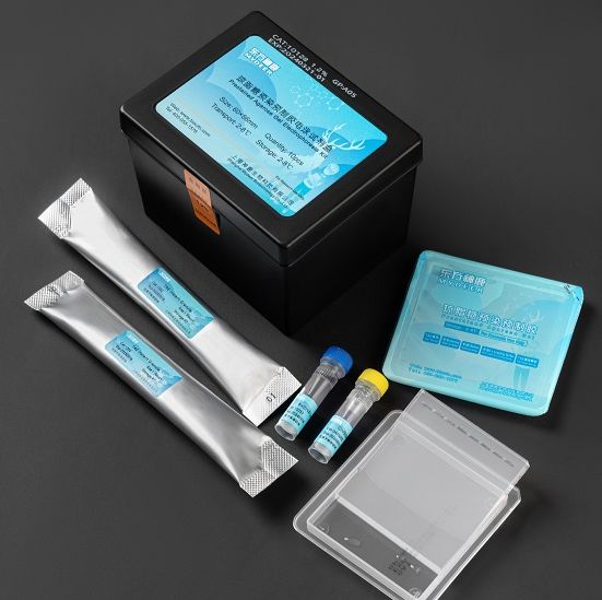 琼脂糖预染预制胶大块