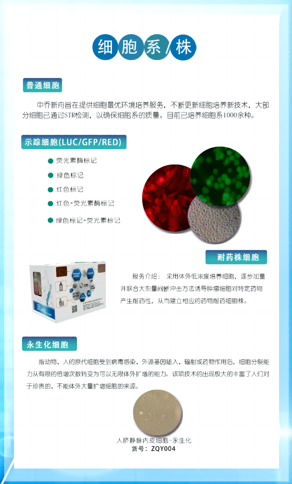 细胞系（株）免费含str鉴定