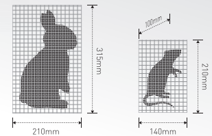 小动物体成份分析仪（DXA）
