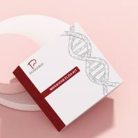 英国abcam品牌上海办事处