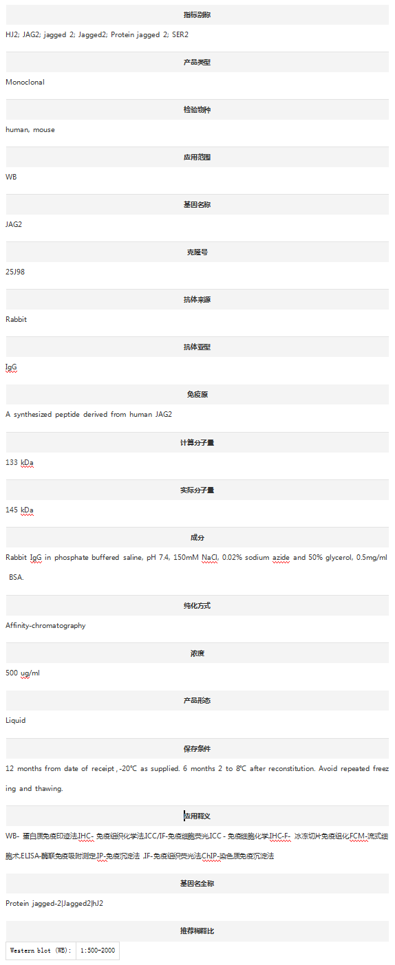 Anti-Jagged 2/JAG2 Antibody (C