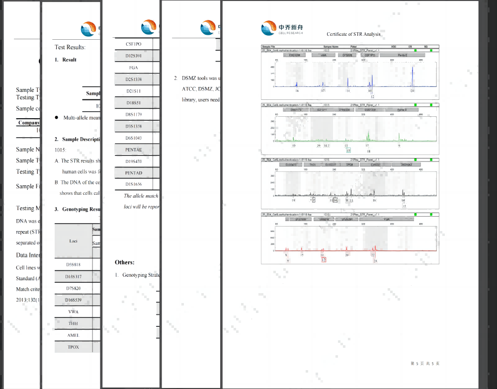细胞系（株）免费含str鉴定