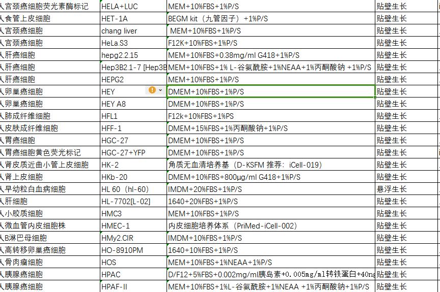 HEY A8细胞 | HEY-A8细胞 | HEY-A8 |