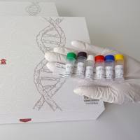 T2衍生物说明书