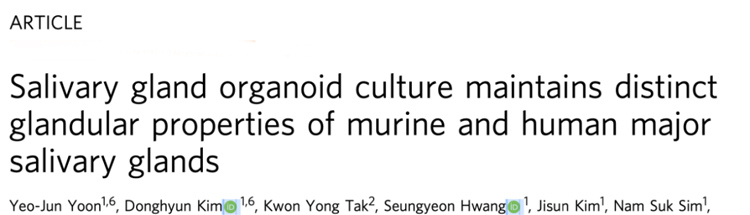 IF=16.6丨Nat Commun：成功构建可长期培养的唾液腺类器官