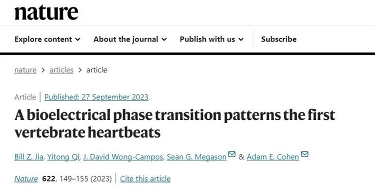 论文解读 | Nature：哈佛大学首次揭示发育中的斑马鱼第一次心跳