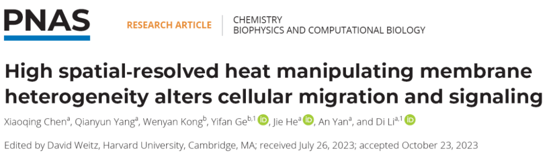 科技前沿 | DNA折纸术与光学成像的碰撞，构建光热操纵细胞膜异质性的分子工具