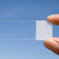 粘附载玻片，世泰188105W