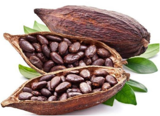 你知道，植物提取物的分类有哪些吗？