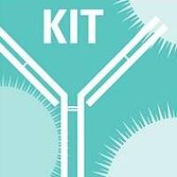 Real Time PCR Kit，实时荧光定量pcr试剂盒