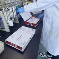 大鼠E钙黏蛋白/上皮钙黏蛋白(E-Cad)ELISA试剂盒