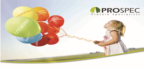 Prospec 重组蛋白杰出供应商官方授权一级代理