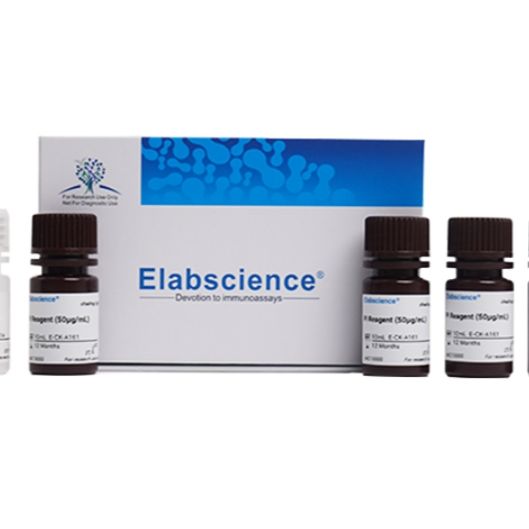 Elabscience细胞周期检测试剂盒(绿色荧光)