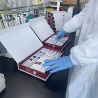 大鼠转化生长因子β1(TGF-β1)ELISA试剂盒