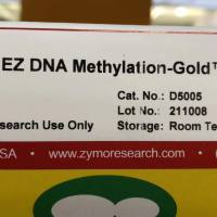 甲基化试剂盒Zymo Research货号D5006现货DNA甲基化修饰试剂盒-Gold上海睿安生物13611631389