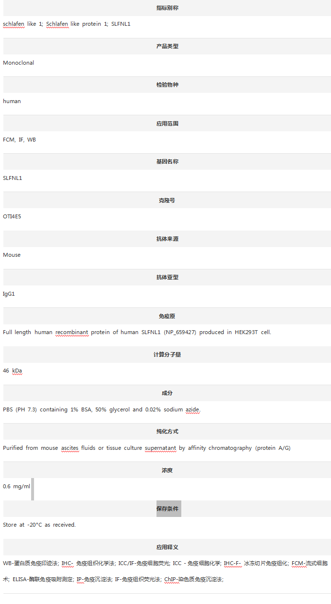 Anti-SLFNL1 Antibody (Clone#OT